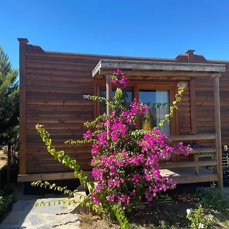 Cozy Tiny House With Shared Pool And Balcony In Bodrum 度假居