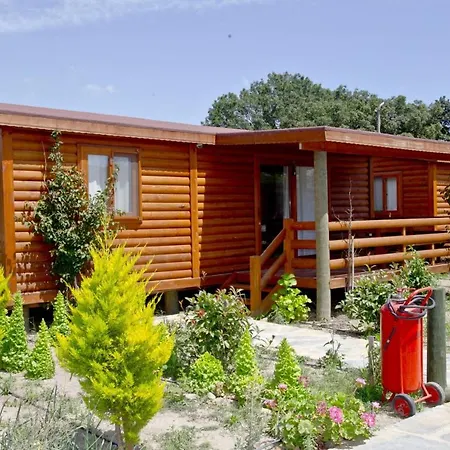Cozy Tiny House With Shared Pool And Balcony In Bodrum בית נופש ביטז